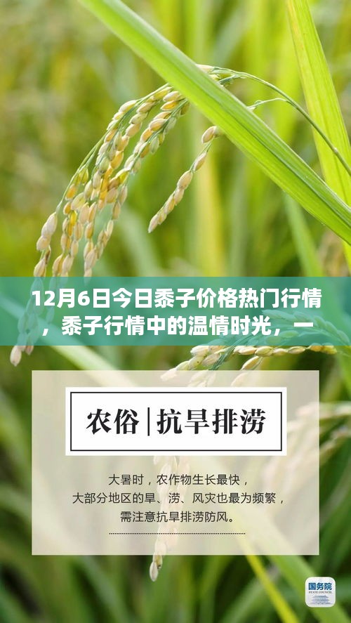 盒抽纸厂家 第378页