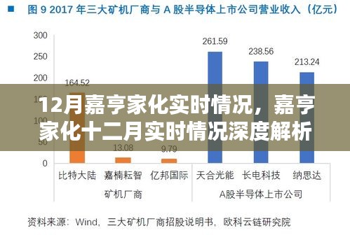嘉亨家化十二月业绩深度解析，实时情况透视与观点探讨