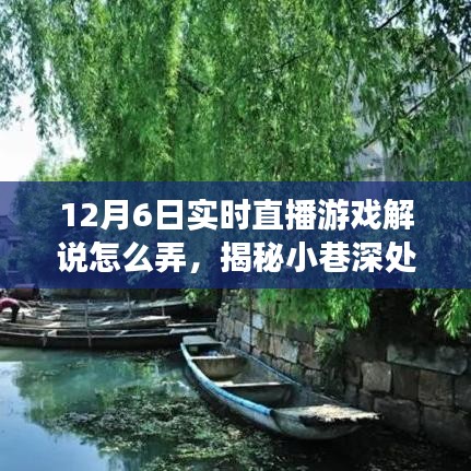 探秘直播游戏盛宴，揭秘小巷深处的解说盛宴，12月6日直播实录