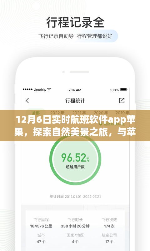 一次性餐包 第329页