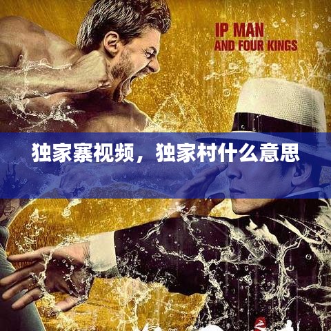 贵险贱璧 第2页