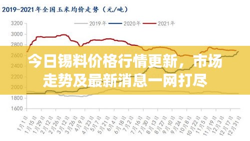 今日锡料价格行情更新，市场走势及最新消息一网打尽