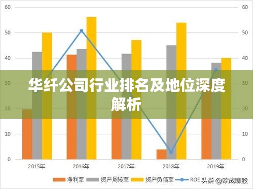 华纤公司行业排名及地位深度解析