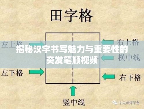 揭秘汉字书写魅力与重要性的突发笔顺视频