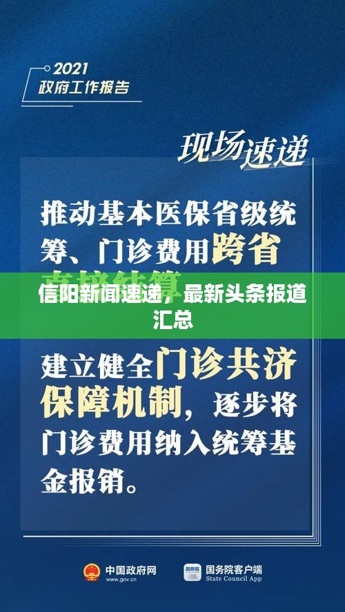 信阳新闻速递，最新头条报道汇总