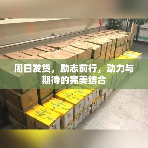 周日发货，励志前行，动力与期待的完美结合