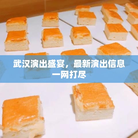 武汉演出盛宴，最新演出信息一网打尽