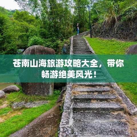 朝飞暮卷