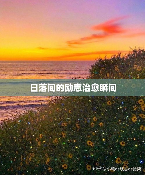 日落间的励志治愈瞬间