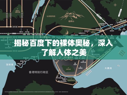 揭秘百度下的裸体奥秘，深入了解人体之美