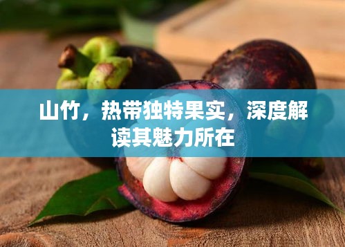 山竹，热带独特果实，深度解读其魅力所在