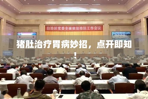 猪肚治疗胃病妙招，点开即知！