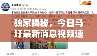 独家揭秘，今日马圩最新消息视频速递