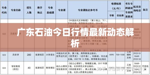 广东石油今日行情最新动态解析