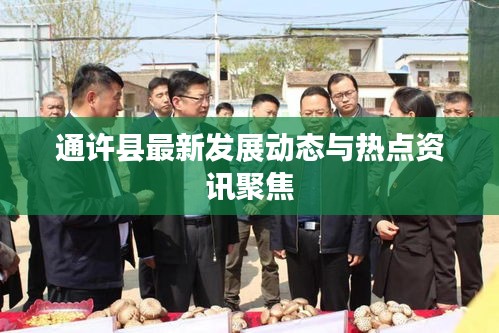 通许县最新发展动态与热点资讯聚焦