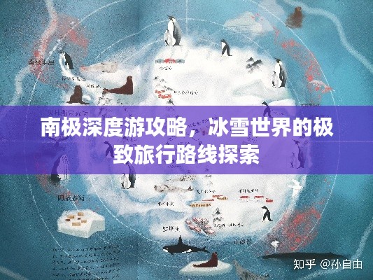 南极深度游攻略，冰雪世界的极致旅行路线探索