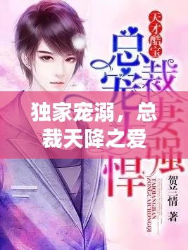 独家宠溺，总裁天降之爱
