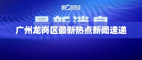 广州龙岗区最新热点新闻速递