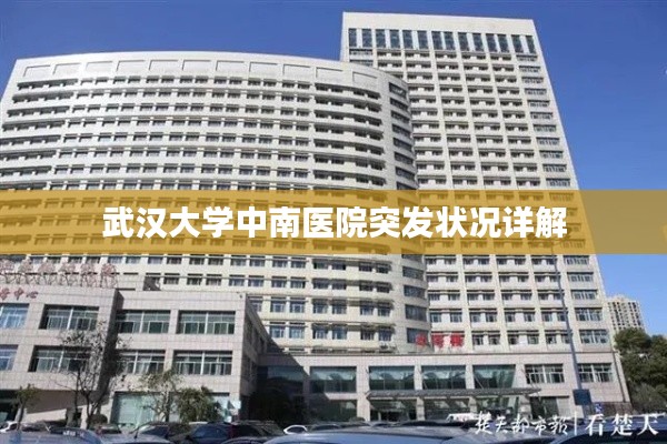 抱朴含真